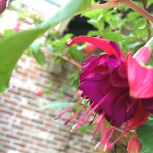 Meet your Posher, Jett